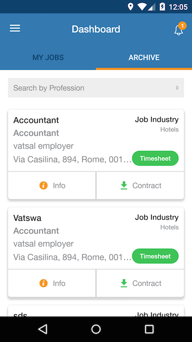 Dashboard of Idea Lavoro an Online Job Portal